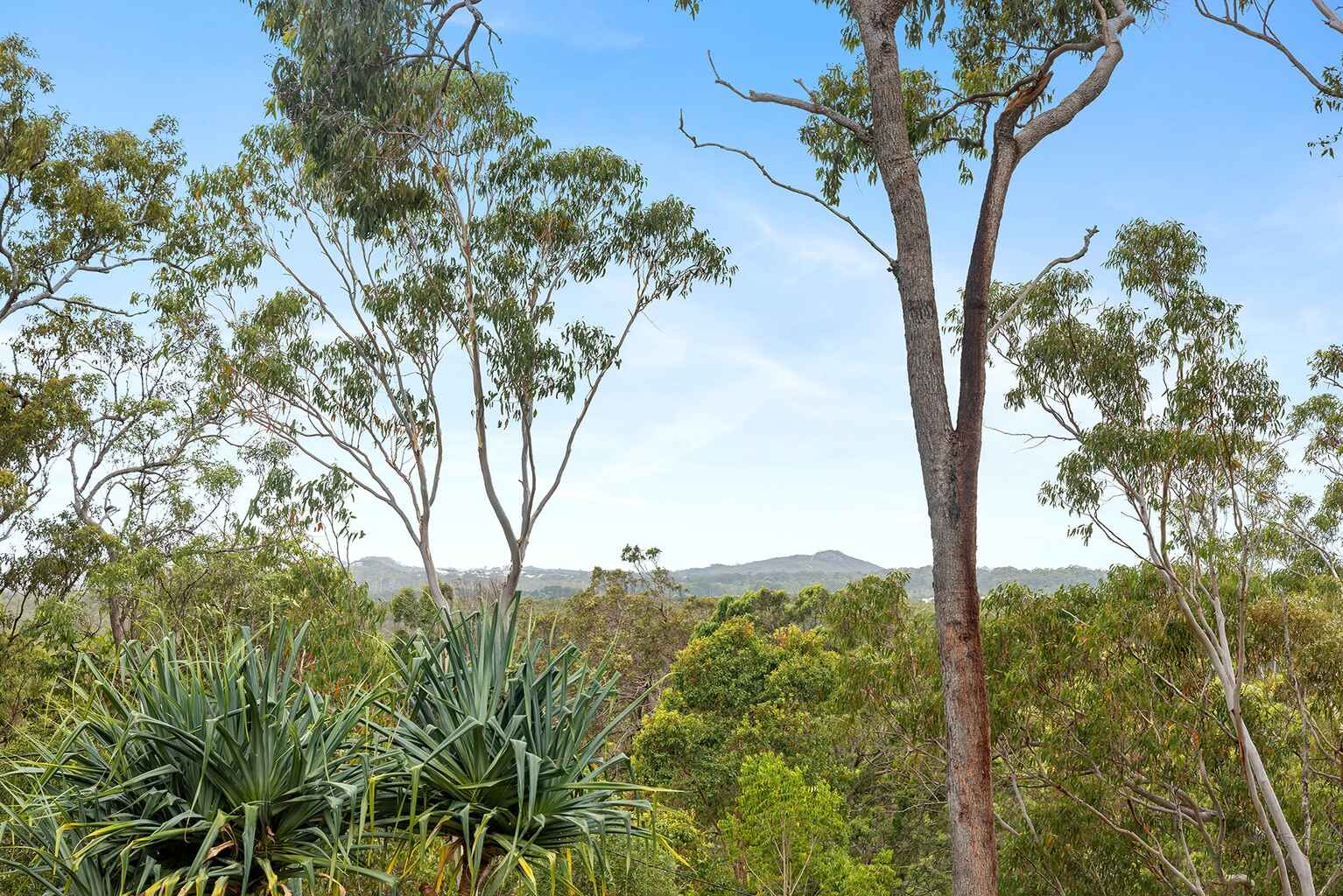 166 Arcoona Road Yandina Creek