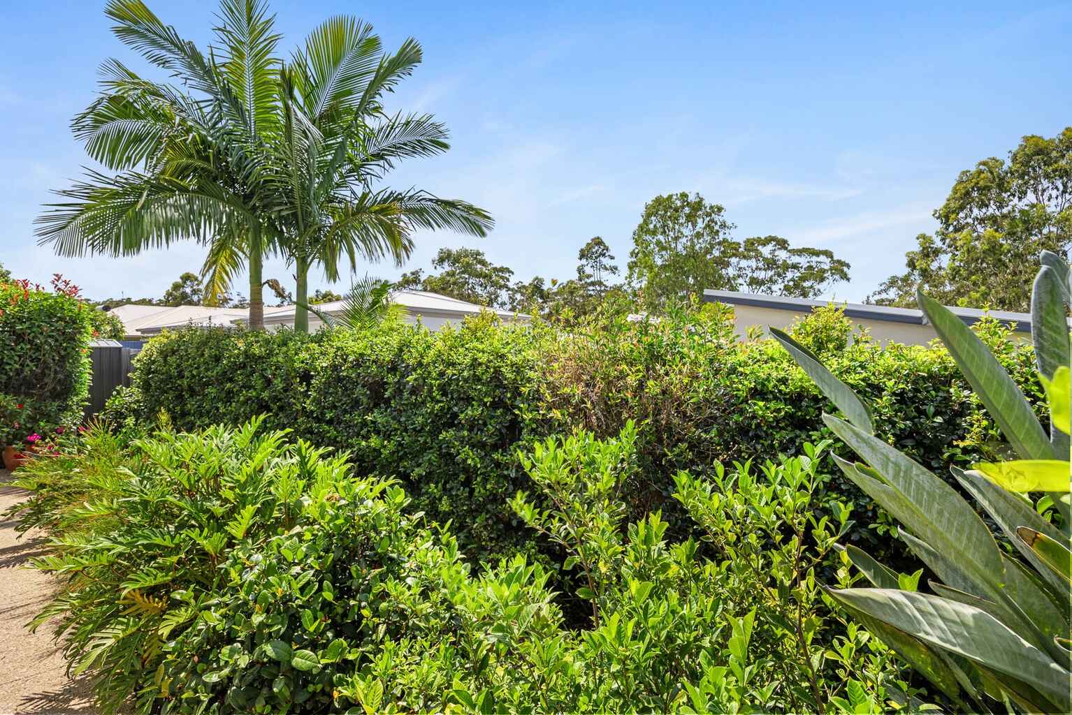 43 Scribbly Gum Circuit Peregian Springs