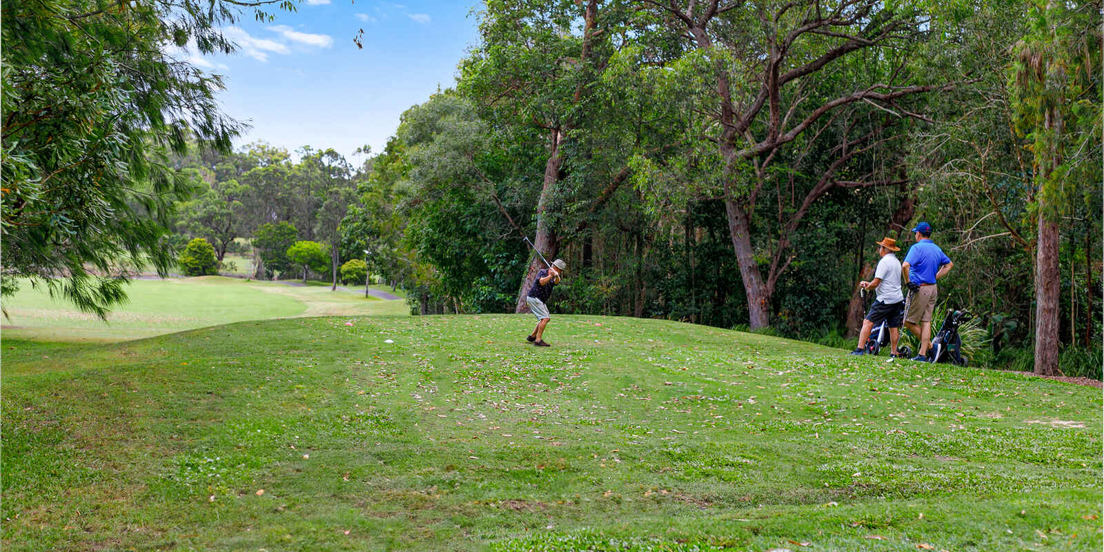 12 Longwood Drive Peregian Springs 12 Longwood Drive Peregian Springs