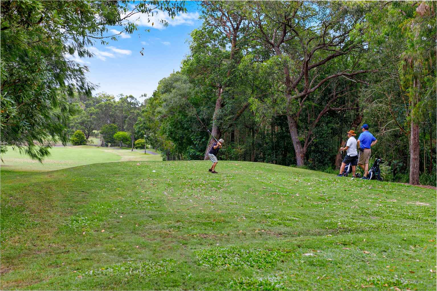 12 Longwood Drive Peregian Springs