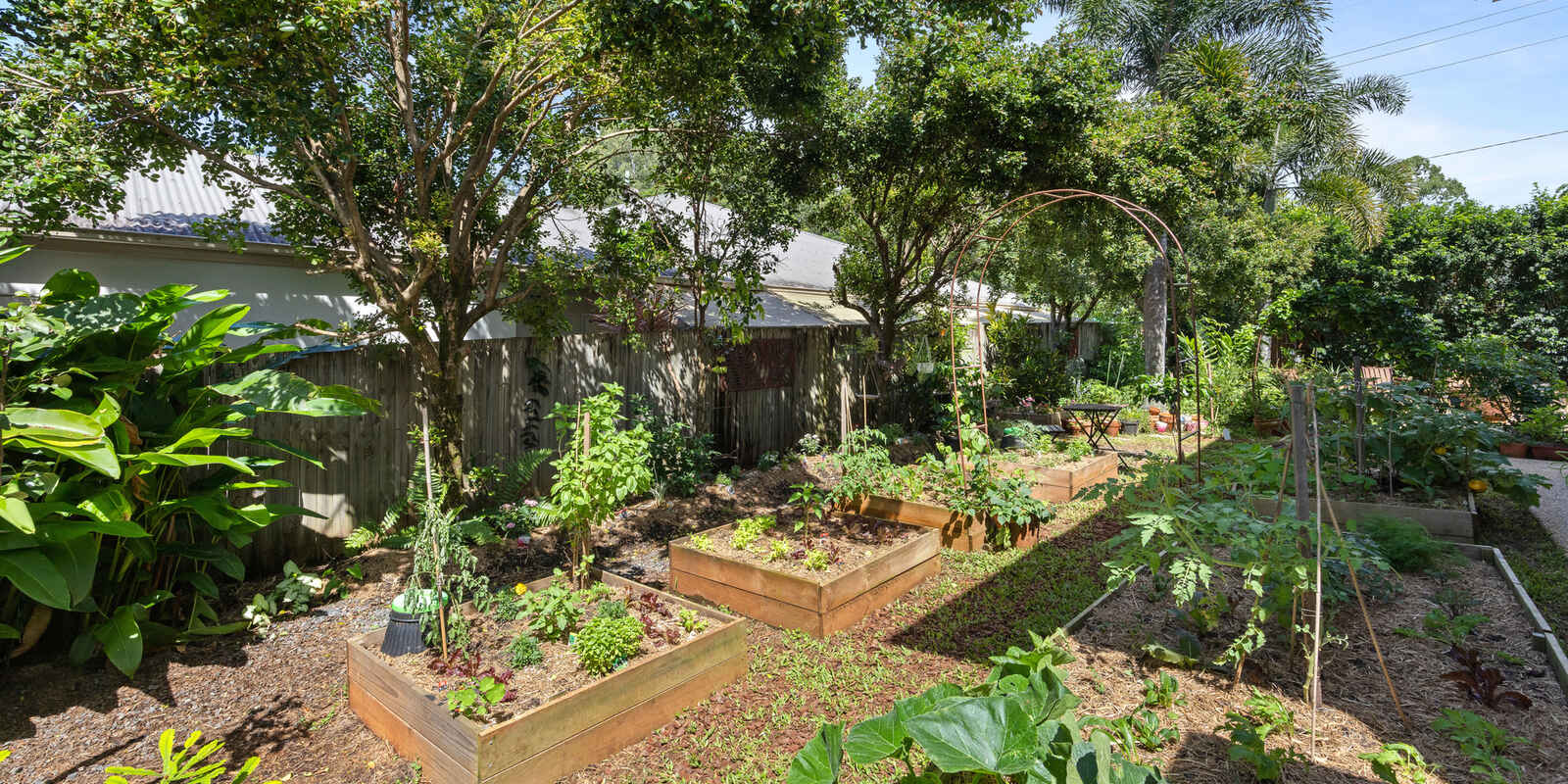 17 Quondong Court Yandina 17 Quondong Court Yandina