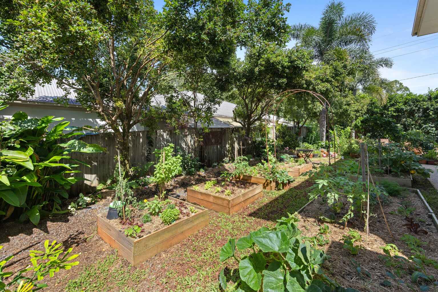 17 Quondong Court Yandina 17 Quondong Court Yandina