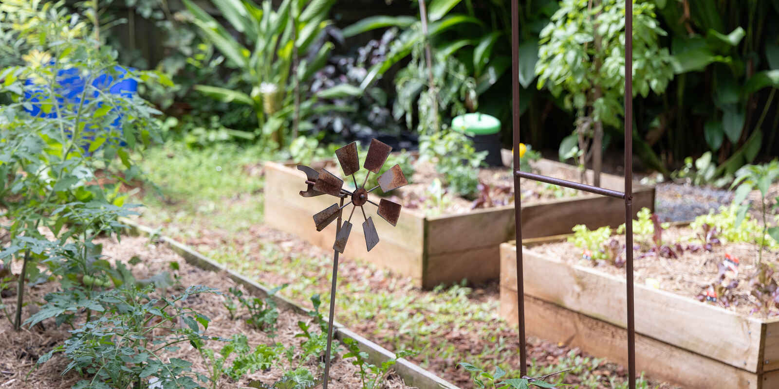 17 Quondong Court Yandina 17 Quondong Court Yandina