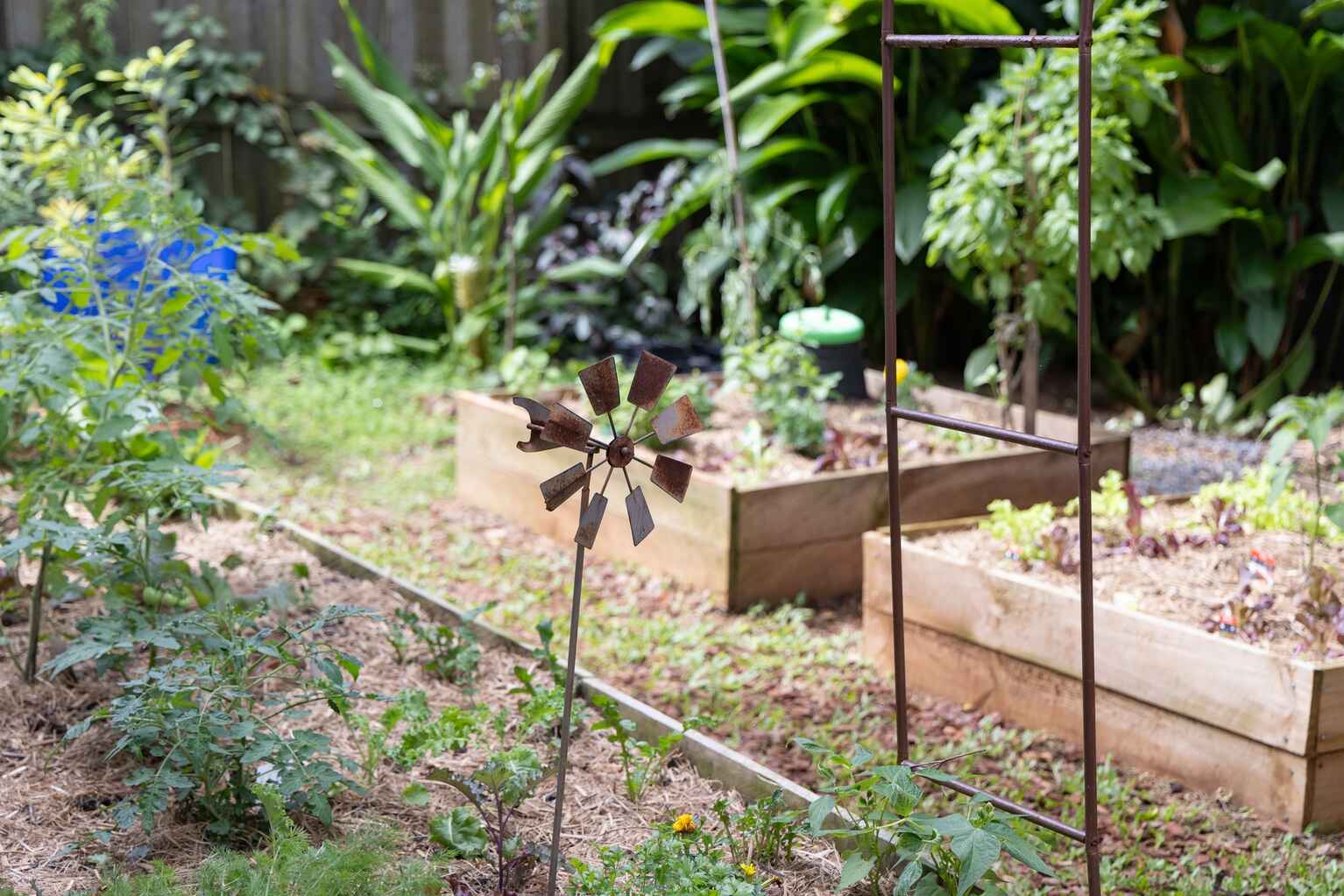 17 Quondong Court Yandina 17 Quondong Court Yandina