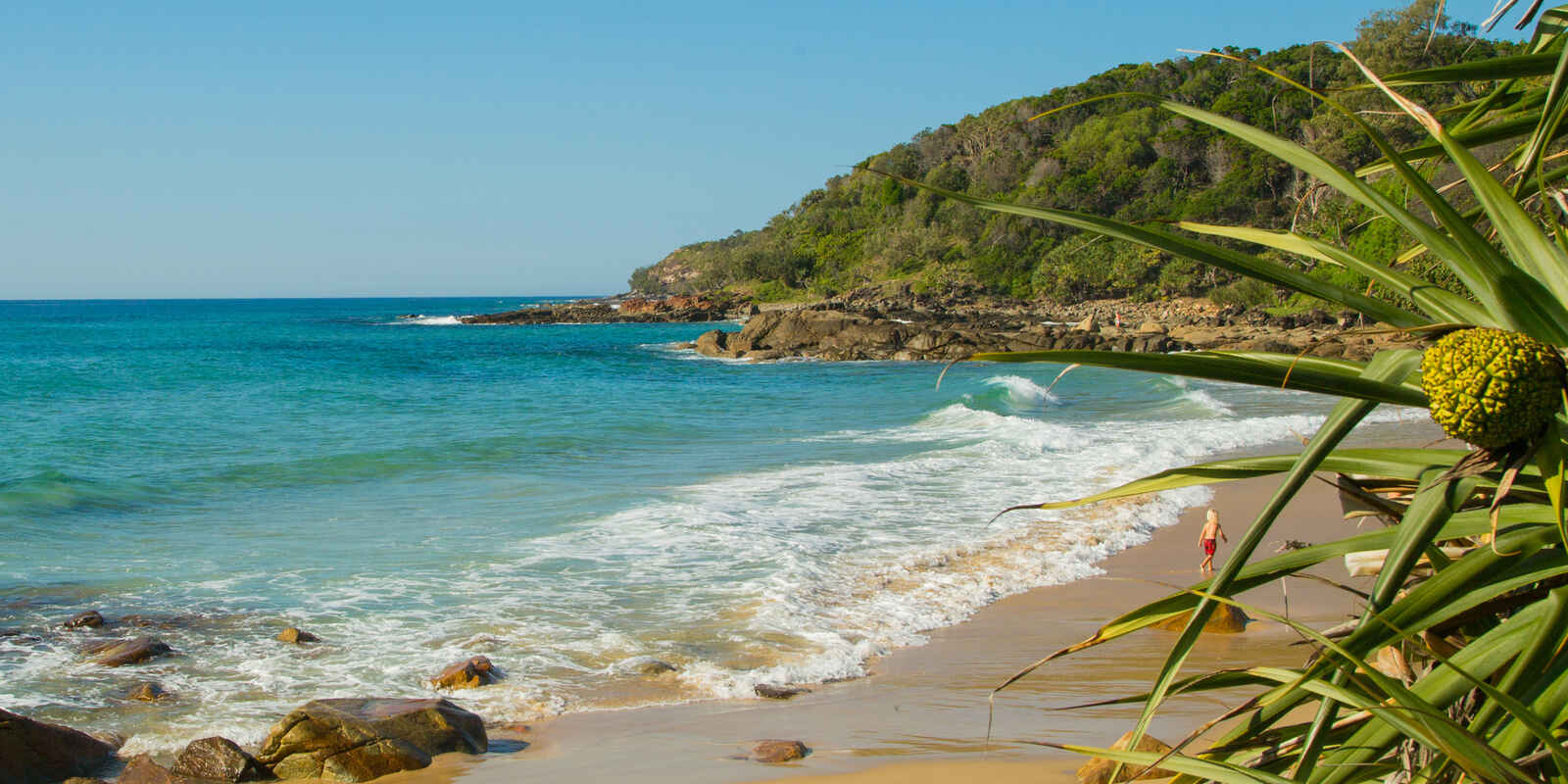 51 Whistler Ridge Drive Yandina Creek 51 Whistler Ridge Drive Yandina Creek