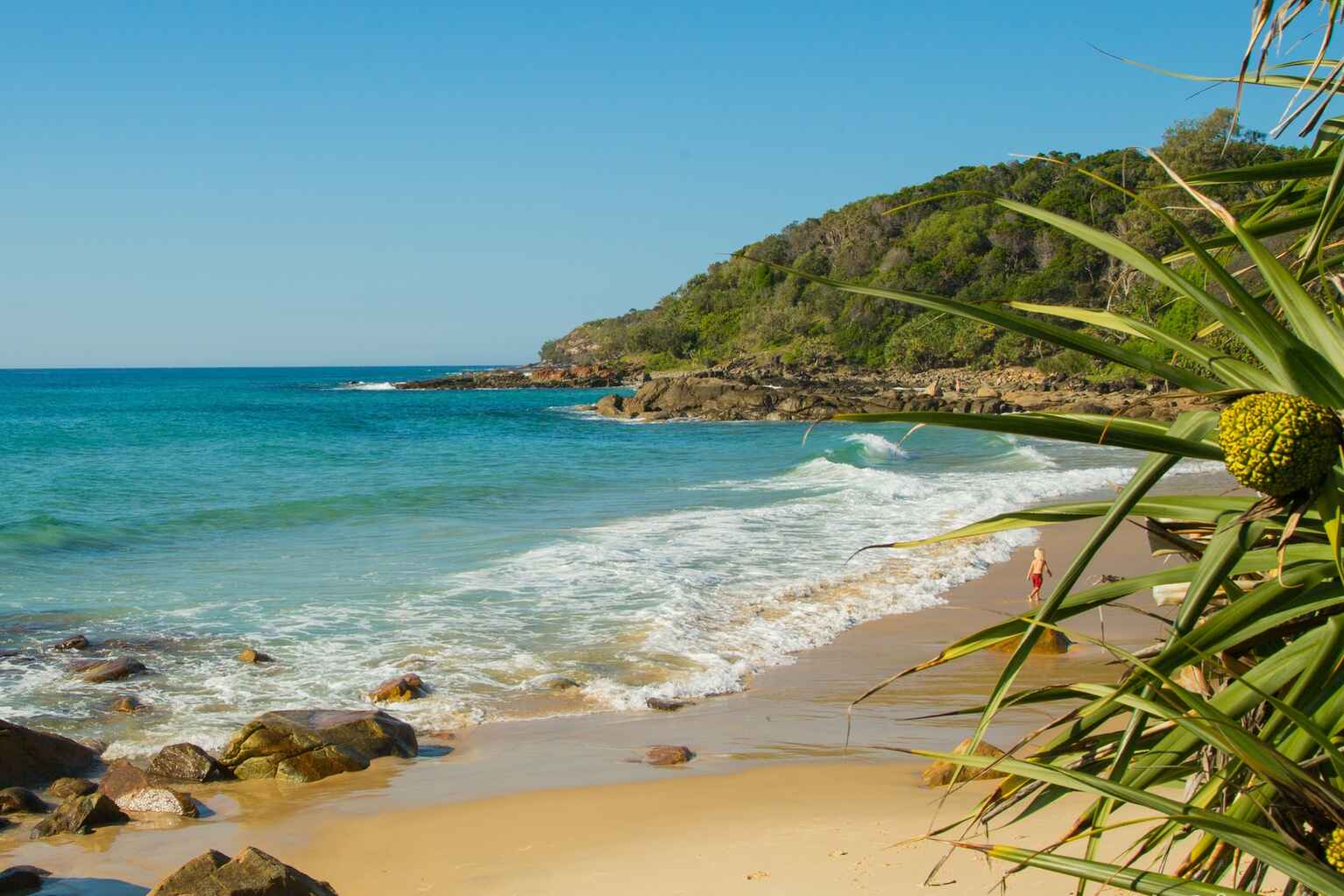 51 Whistler Ridge Drive Yandina Creek 51 Whistler Ridge Drive Yandina Creek