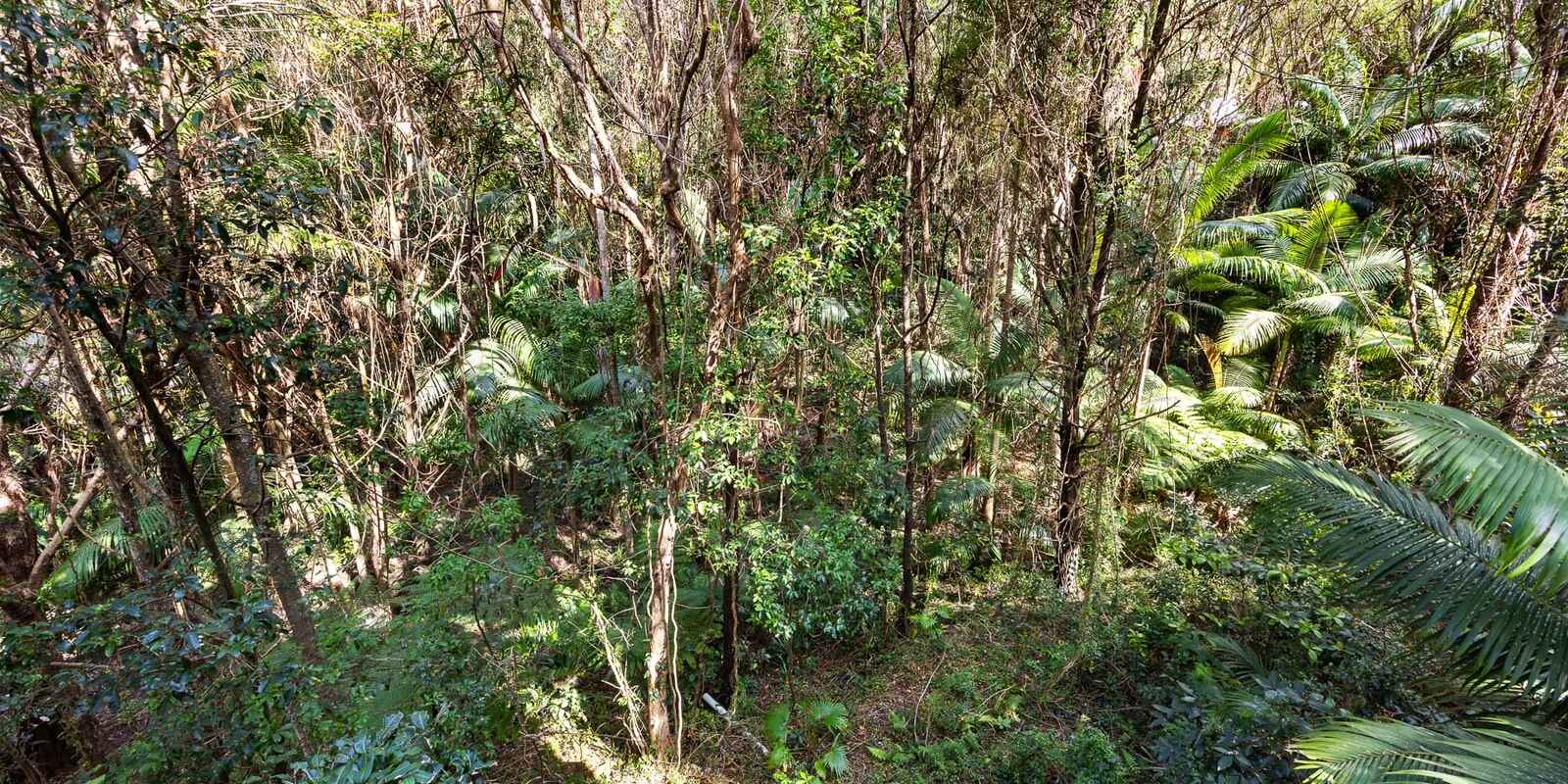 3 Mona Vista Court Coolum Beach 3 Mona Vista Court Coolum Beach