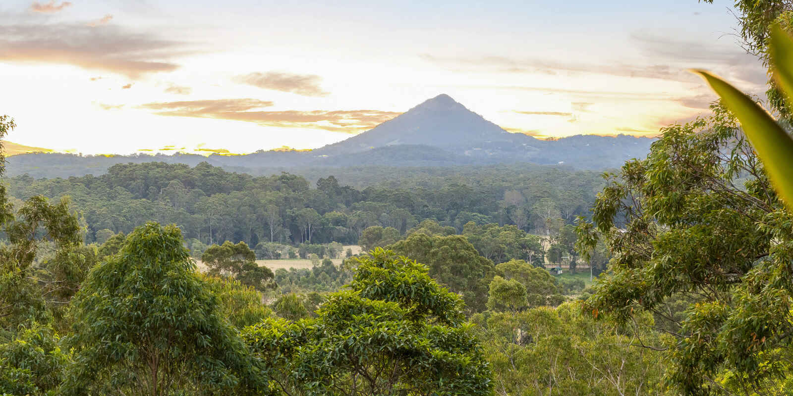 51 Whistler Ridge Drive Yandina Creek 51 Whistler Ridge Drive Yandina Creek