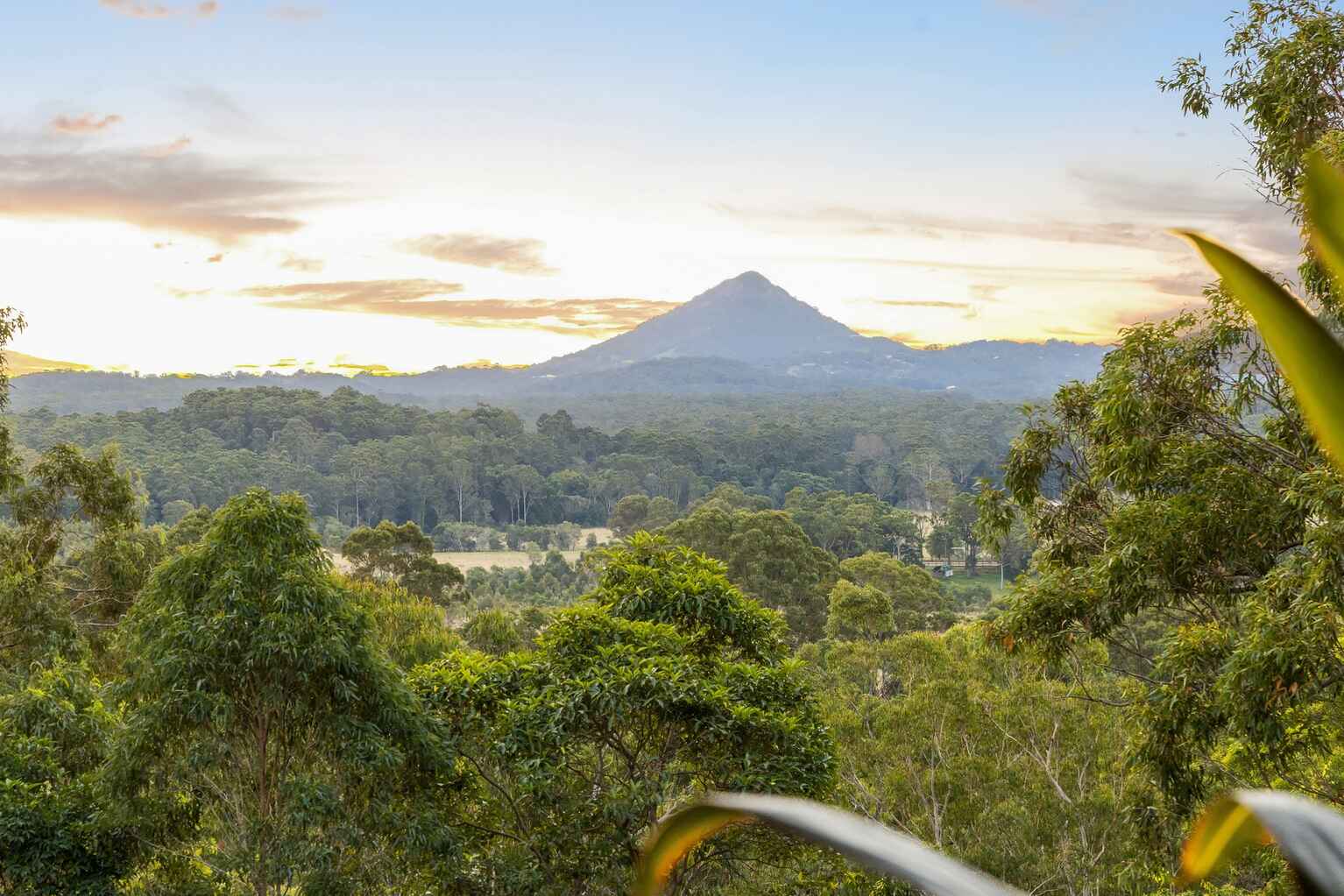 51 Whistler Ridge Drive Yandina Creek 51 Whistler Ridge Drive Yandina Creek