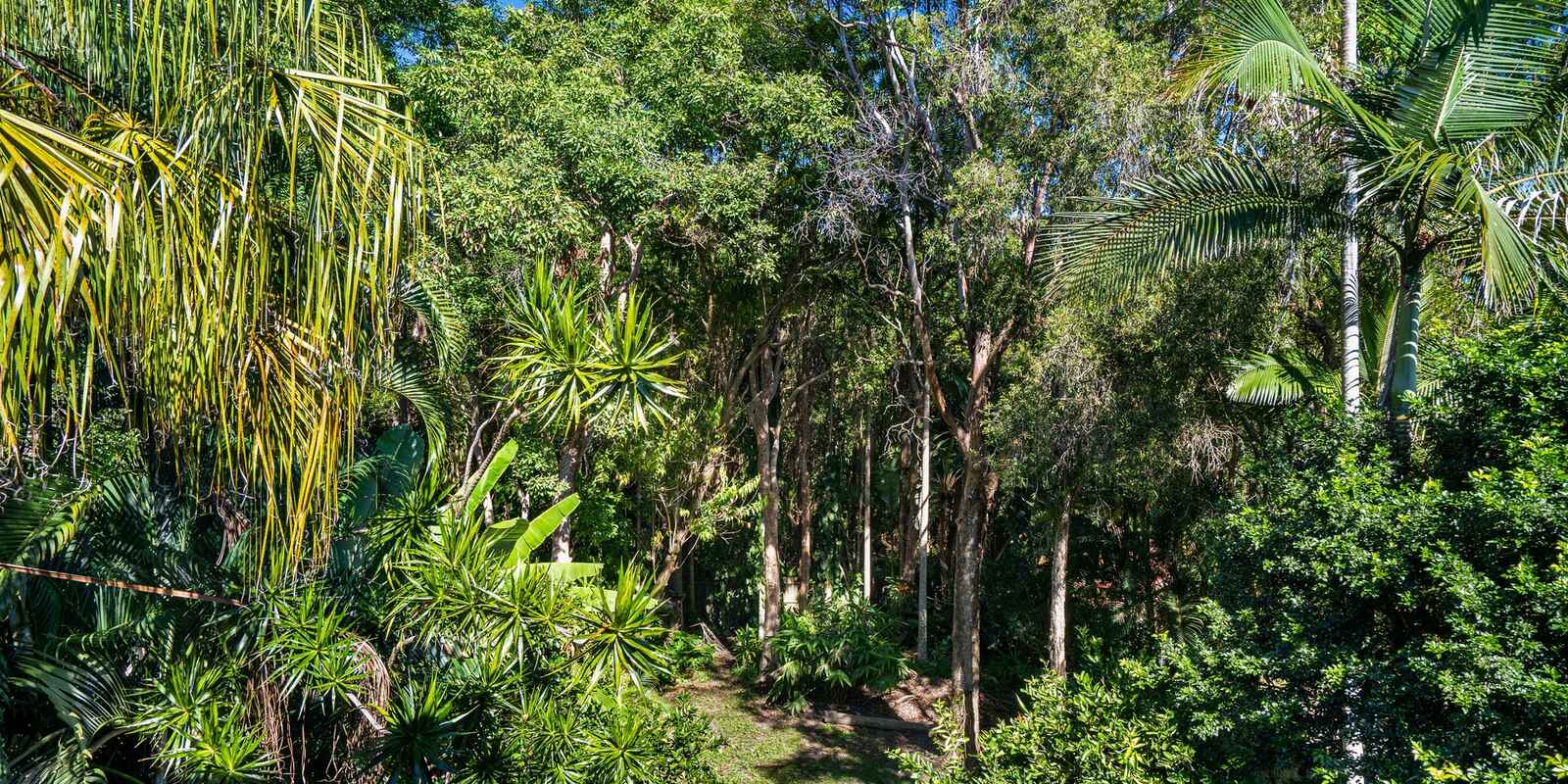 85 Neurum Road Yaroomba