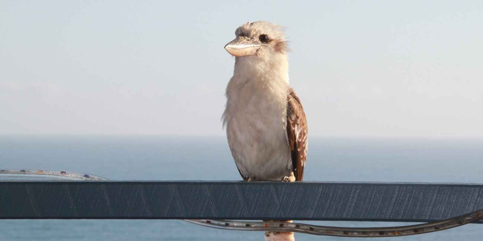 12 Mona Vista Court Coolum Beach