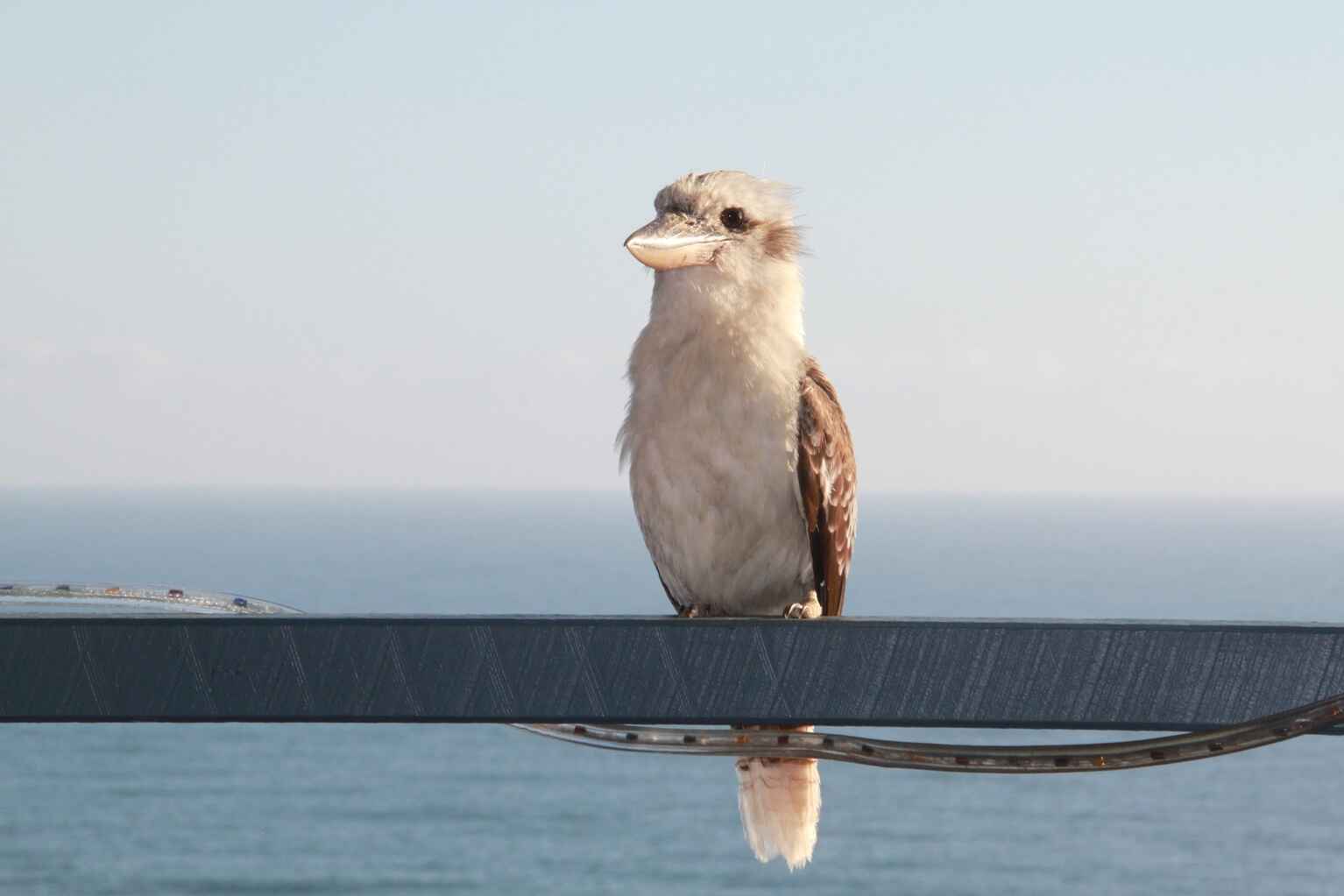 12 Mona Vista Court Coolum Beach