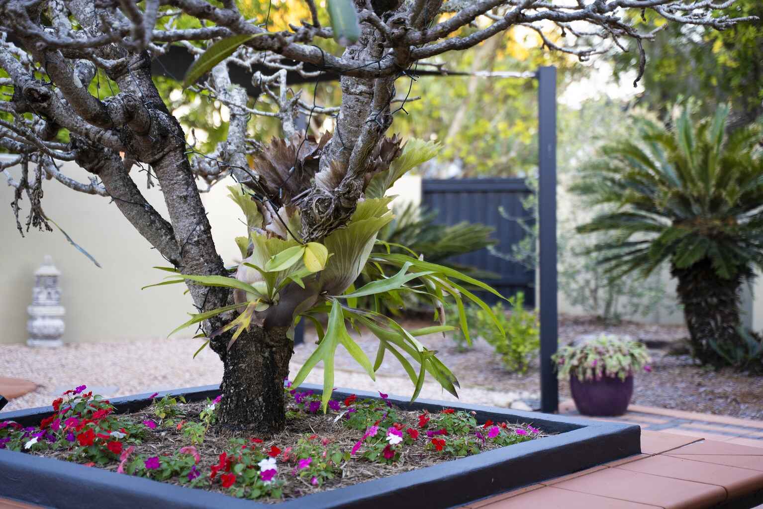 24 Orungal Court Marcoola