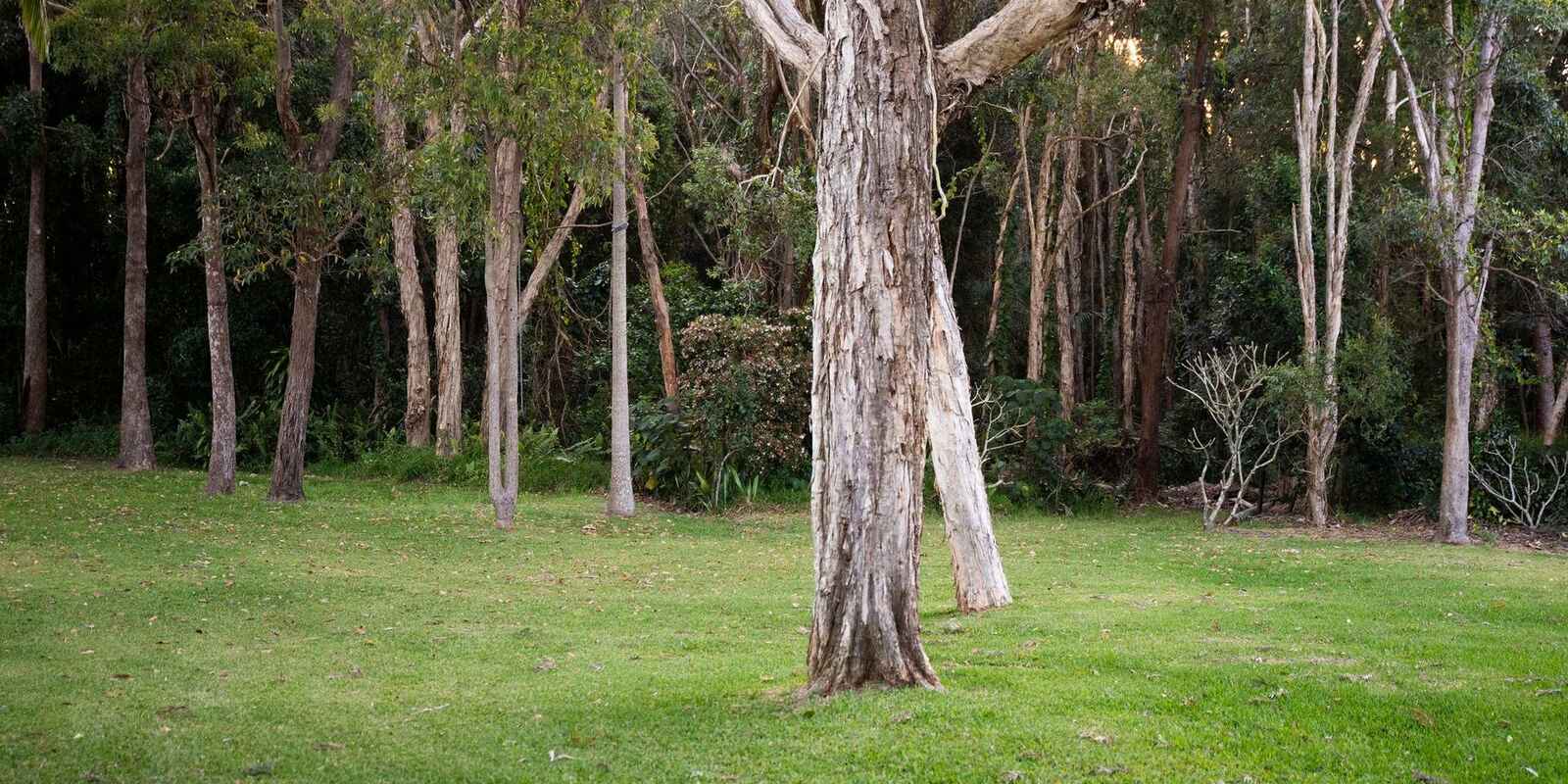 87 Cinnamon Avenue Coolum Beach 87 Cinnamon Avenue Coolum Beach