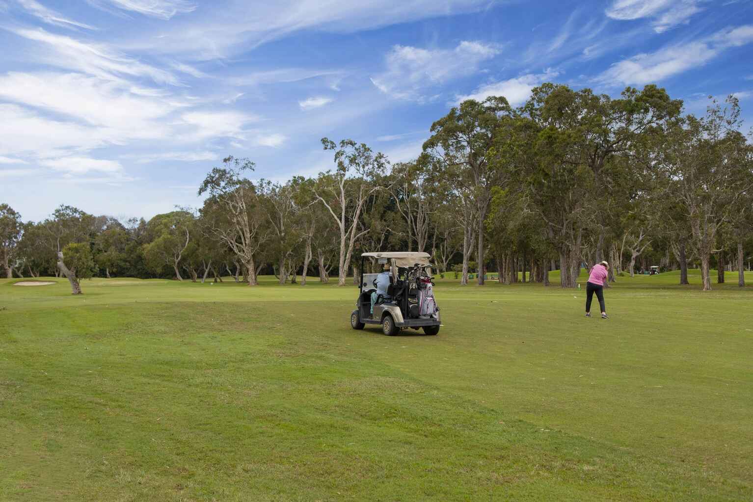 8 Bunker Court Peregian Springs 8 Bunker Court Peregian Springs