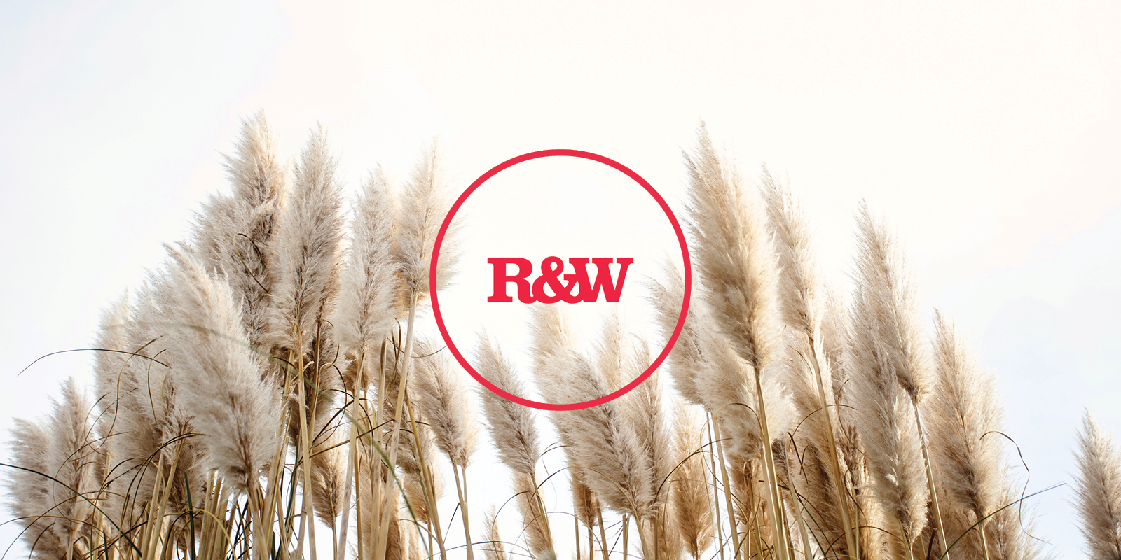 Carol Mendoza Carol Mendoza